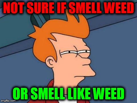 Futurama Fry Meme | NOT SURE IF SMELL WEED OR SMELL LIKE WEED | image tagged in memes,futurama fry | made w/ Imgflip meme maker
