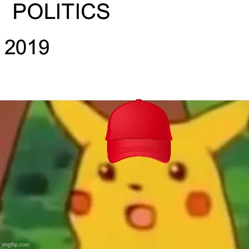 Surprised Pikachu | POLITICS; 2019 | image tagged in memes,surprised pikachu | made w/ Imgflip meme maker