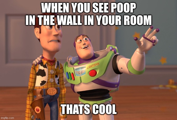 poopy | WHEN YOU SEE POOP IN THE WALL IN YOUR ROOM; THATS COOL | image tagged in memes,x x everywhere | made w/ Imgflip meme maker