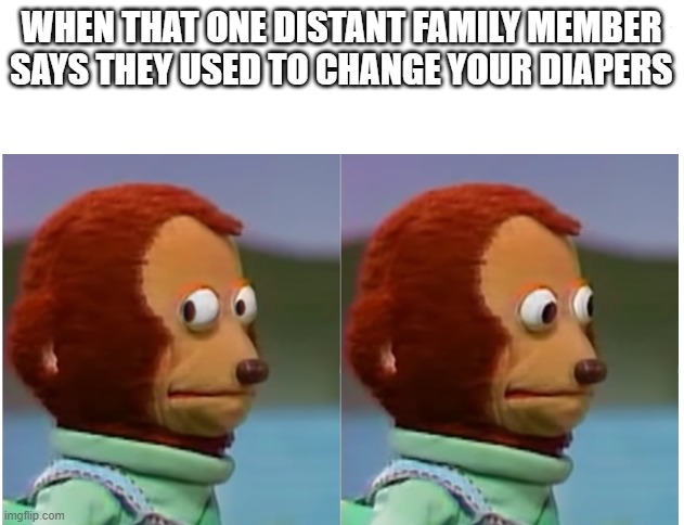 how do you expect me to react to that!? | WHEN THAT ONE DISTANT FAMILY MEMBER SAYS THEY USED TO CHANGE YOUR DIAPERS | image tagged in monkey puppet looking away good quality | made w/ Imgflip meme maker