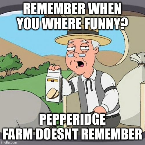 meme | REMEMBER WHEN YOU WHERE FUNNY? PEPPERIDGE FARM DOESNT REMEMBER | image tagged in memes,pepperidge farm remembers | made w/ Imgflip meme maker