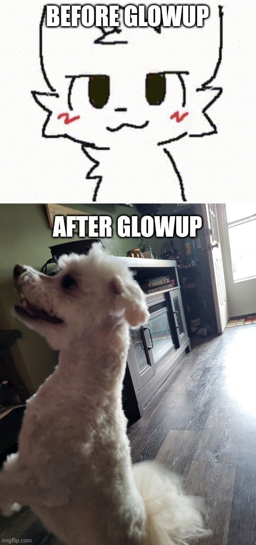 W or L glowup? | BEFORE GLOWUP; AFTER GLOWUP | image tagged in you like kissing boys | made w/ Imgflip meme maker