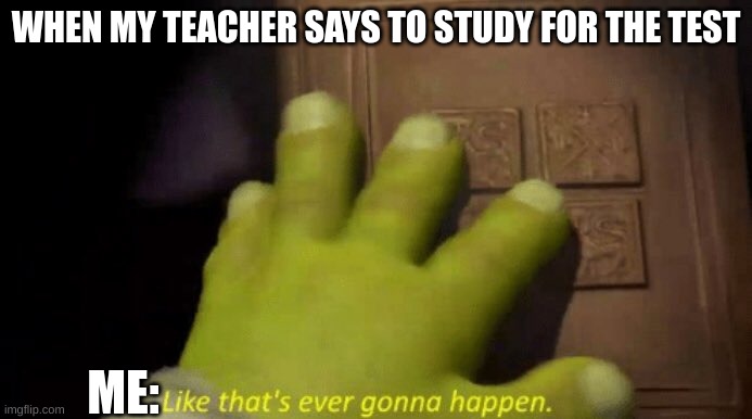 no studying | WHEN MY TEACHER SAYS TO STUDY FOR THE TEST; ME: | image tagged in like that's ever gonna happen,test | made w/ Imgflip meme maker