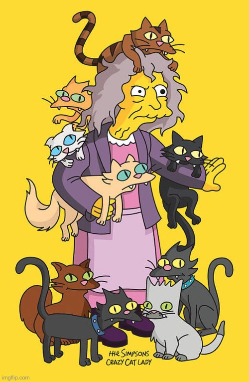 simpsons cat lady | image tagged in simpsons cat lady | made w/ Imgflip meme maker