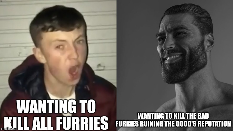 average fan vs average enjoyer | WANTING TO KILL ALL FURRIES; WANTING TO KILL THE BAD FURRIES RUINING THE GOOD'S REPUTATION | image tagged in average fan vs average enjoyer | made w/ Imgflip meme maker