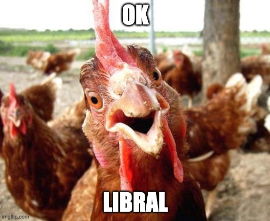 OK | OK; LIBRAL | image tagged in chicken | made w/ Imgflip meme maker