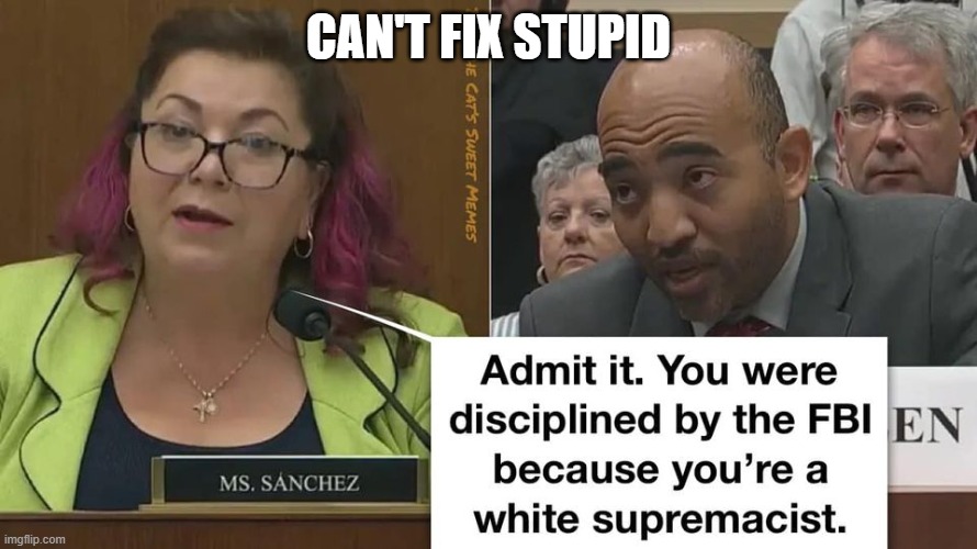 Can't Fix Stupid | CAN'T FIX STUPID | image tagged in can't fix stupid | made w/ Imgflip meme maker