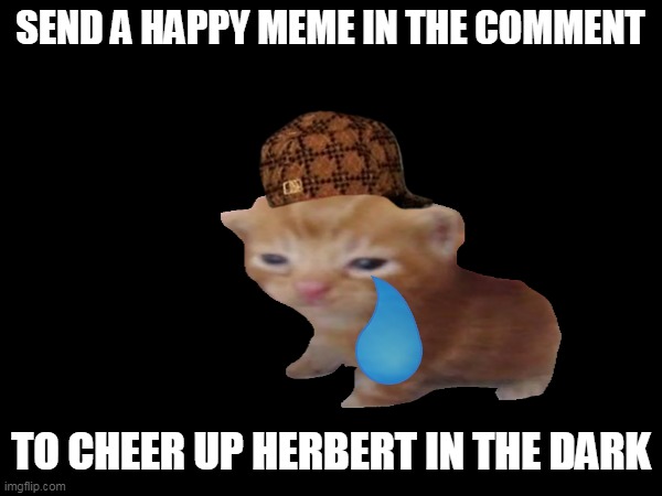 Sad Herbert :( | SEND A HAPPY MEME IN THE COMMENT; TO CHEER UP HERBERT IN THE DARK | image tagged in cat,sad,herbert | made w/ Imgflip meme maker