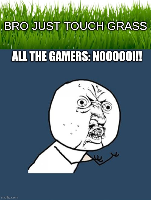 why? | BRO JUST TOUCH GRASS; ALL THE GAMERS: NOOOOO!!! | image tagged in memes,y u no,touch grass | made w/ Imgflip meme maker