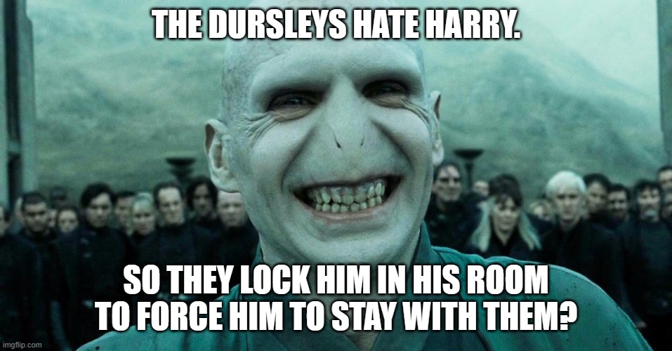 Savage Harry Potter joke | THE DURSLEYS HATE HARRY. SO THEY LOCK HIM IN HIS ROOM TO FORCE HIM TO STAY WITH THEM? | image tagged in savage harry potter joke | made w/ Imgflip meme maker