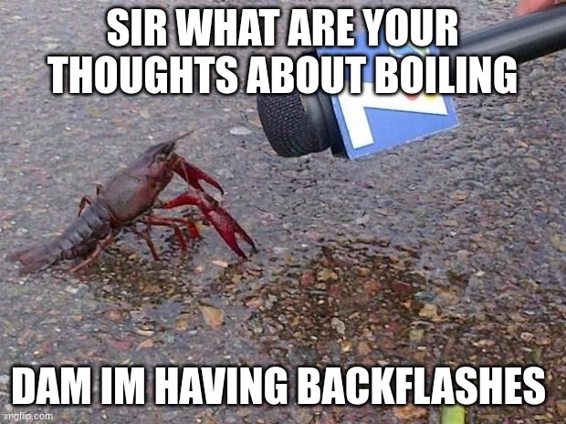Crawfish Interview | SIR WHAT ARE YOUR THOUGHTS ABOUT BOILING; DAM IM HAVING BACKFLASHES | image tagged in crawfish interview | made w/ Imgflip meme maker