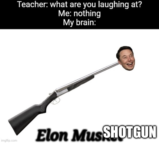 Elon musket | SHOTGUN | image tagged in elon musket | made w/ Imgflip meme maker