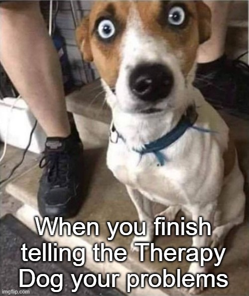 I have issues | When you finish telling the Therapy Dog your problems | image tagged in shock surprise dog therapy | made w/ Imgflip meme maker