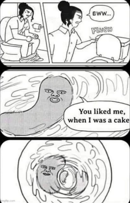 cake | image tagged in cake,funny,meme,flush,toilet,youlikedmebetterwheniwascake | made w/ Imgflip meme maker