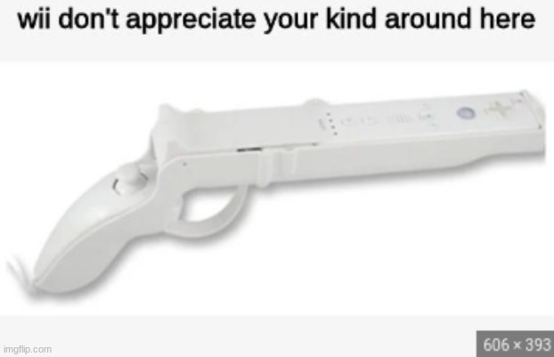 Wii don't appreciate your kind around here | image tagged in wii don't appreciate your kind around here | made w/ Imgflip meme maker