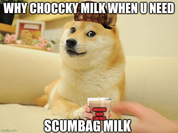 Doge 2 Meme | WHY CHOCCKY MILK WHEN U NEED; SCUMBAG MILK; WARNING HIGH LACTOSE | image tagged in memes,doge 2 | made w/ Imgflip meme maker