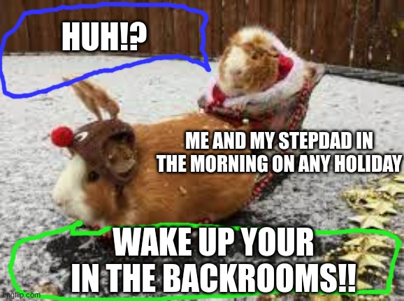 holidays | HUH!? ME AND MY STEPDAD IN THE MORNING ON ANY HOLIDAY; WAKE UP YOUR IN THE BACKROOMS!! | image tagged in funny,guinea pig,christmas | made w/ Imgflip meme maker