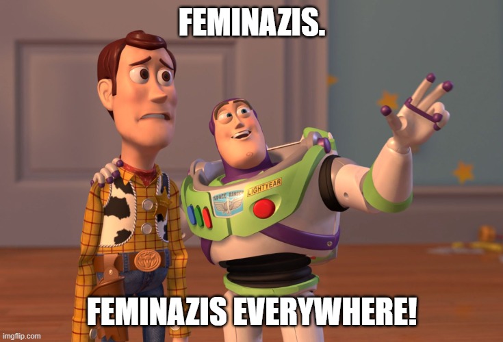 Feminazis everywhere. | FEMINAZIS. FEMINAZIS EVERYWHERE! | image tagged in memes,x x everywhere,feminazi,feminism,feminist,funny | made w/ Imgflip meme maker