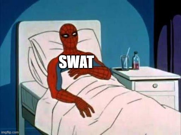 Spiderman in Hospital | SWAT | image tagged in spiderman in hospital | made w/ Imgflip meme maker