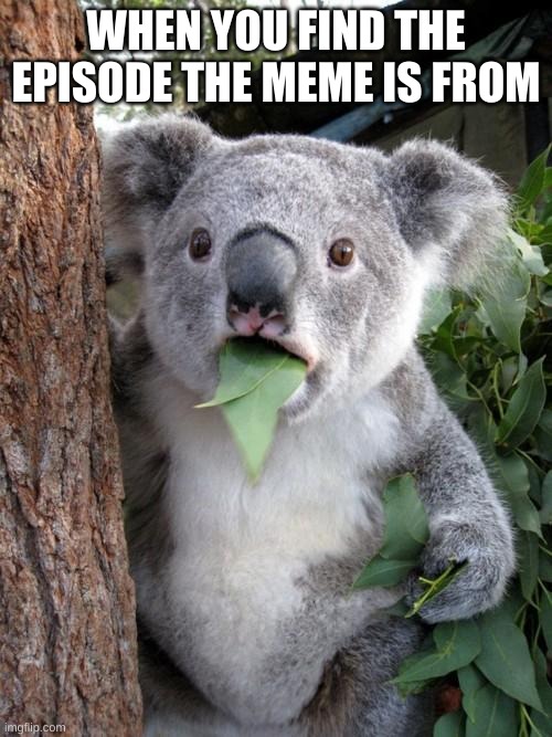 random title | WHEN YOU FIND THE EPISODE THE MEME IS FROM | image tagged in memes,surprised koala | made w/ Imgflip meme maker