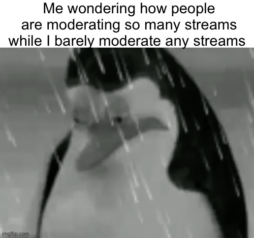 Meme #1,333 | Me wondering how people are moderating so many streams while I barely moderate any streams | image tagged in sadge,moderators,streams,sad,imgflip,memes | made w/ Imgflip meme maker