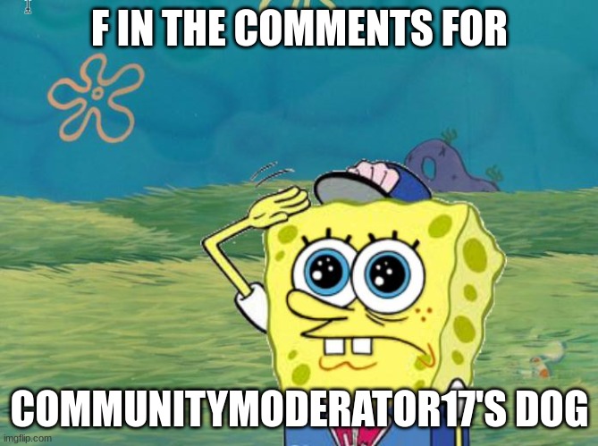 F to Pay Respects | F IN THE COMMENTS FOR; COMMUNITYMODERATOR17'S DOG | image tagged in spongebob salute,press f to pay respects | made w/ Imgflip meme maker