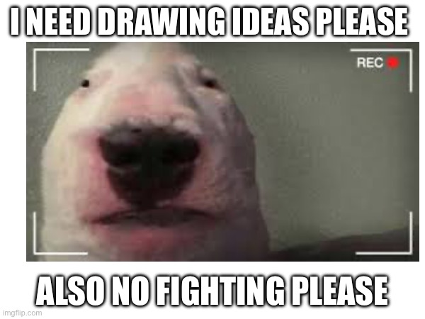 Please | I NEED DRAWING IDEAS PLEASE; ALSO NO FIGHTING PLEASE | image tagged in please,drawing,ideas | made w/ Imgflip meme maker