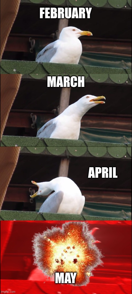 Inhaling Seagull Meme | FEBRUARY; MARCH; APRIL; MAY | image tagged in memes,inhaling seagull | made w/ Imgflip meme maker