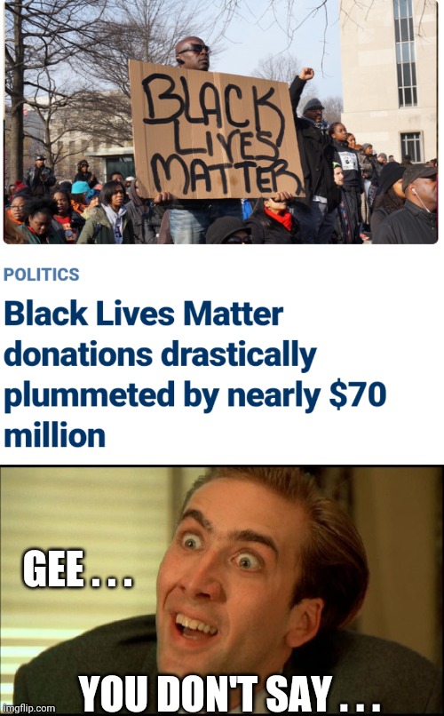 When they lost $80 million unaccounted for | GEE . . . YOU DON'T SAY . . . | image tagged in you don't say - nicholas cage,leftists,blm,liberals,democrats | made w/ Imgflip meme maker