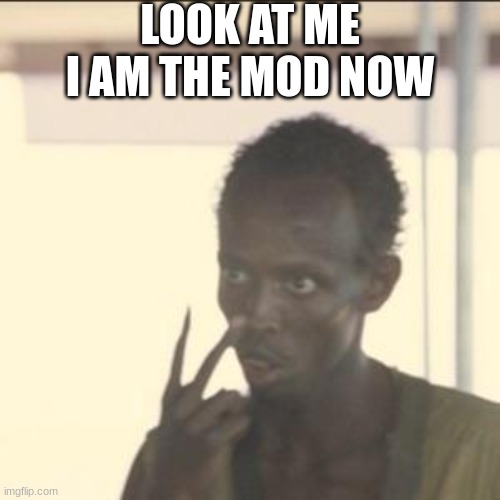 Look At Me Meme | LOOK AT ME I AM THE MOD NOW | image tagged in memes,look at me | made w/ Imgflip meme maker