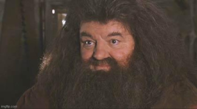 Your a Wizard Aeternus | image tagged in your a wizard aeternus | made w/ Imgflip meme maker