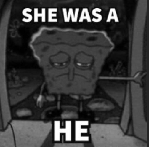 She was a he | image tagged in she was a he | made w/ Imgflip meme maker