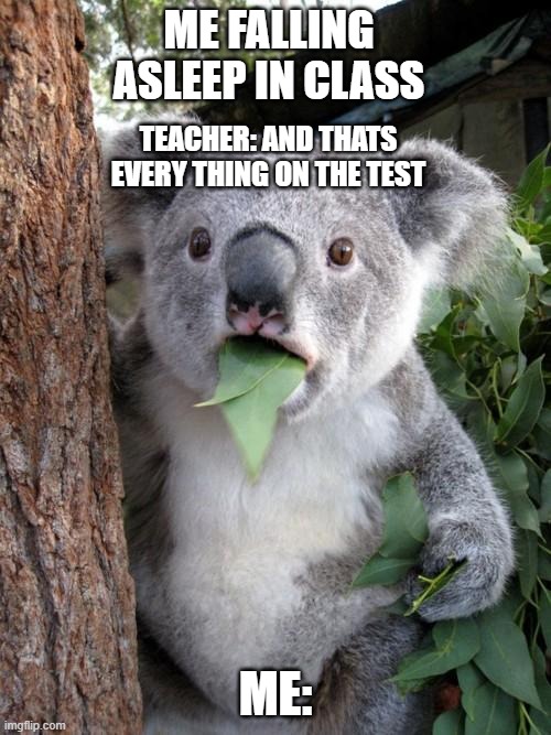 Surprised Koala | ME FALLING ASLEEP IN CLASS; TEACHER: AND THATS EVERY THING ON THE TEST; ME: | image tagged in memes,surprised koala | made w/ Imgflip meme maker