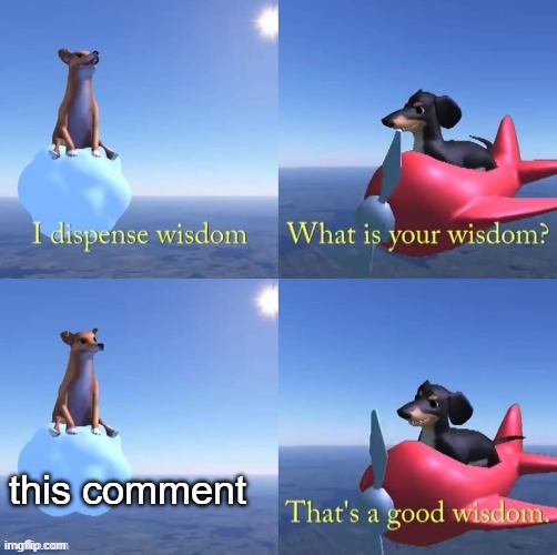 Wisdom dog | this comment | image tagged in wisdom dog | made w/ Imgflip meme maker
