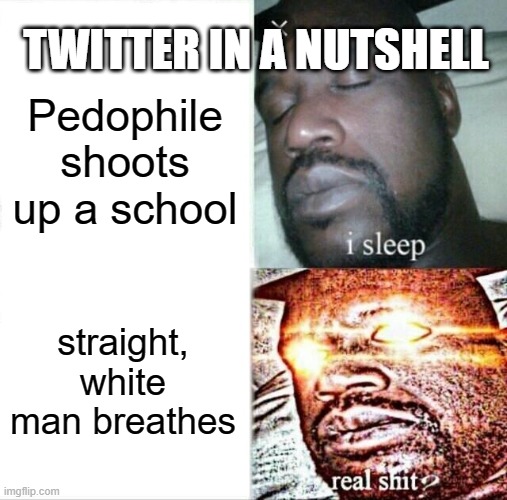 Sleeping Shaq | TWITTER IN A NUTSHELL; Pedophile shoots up a school; straight, white man breathes | image tagged in memes,sleeping shaq | made w/ Imgflip meme maker