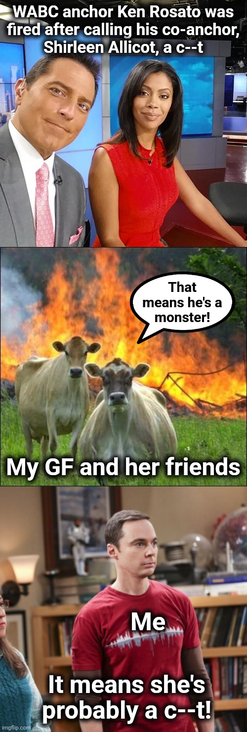 Be careful what you say on a hot mic! | WABC anchor Ken Rosato was
fired after calling his co-anchor,
Shirleen Allicot, a c--t; That
means he's a
monster! My GF and her friends; Me; It means she's probably a c--t! | image tagged in memes,evil cows,ken rosato,hot mic | made w/ Imgflip meme maker