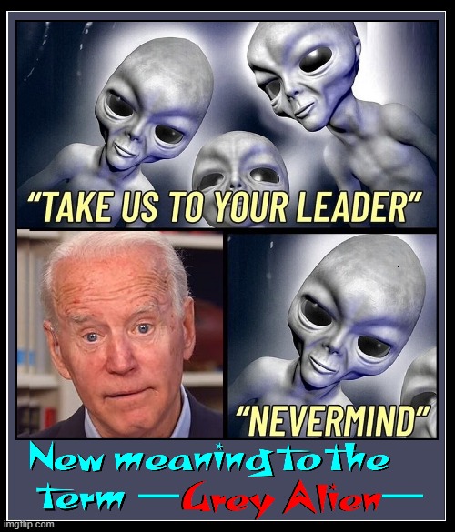 A Universal Embarrassment | image tagged in vince vance,senile,creepy joe biden,memes,grey aliens,take me to your leader | made w/ Imgflip meme maker