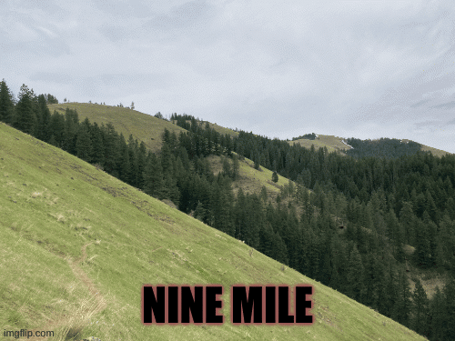 nine mile ods | image tagged in gifs,change my mind | made w/ Imgflip images-to-gif maker