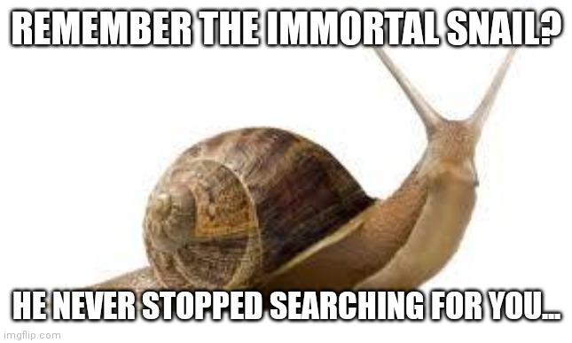 SNAIL | REMEMBER THE IMMORTAL SNAIL? HE NEVER STOPPED SEARCHING FOR YOU... | image tagged in snail | made w/ Imgflip meme maker