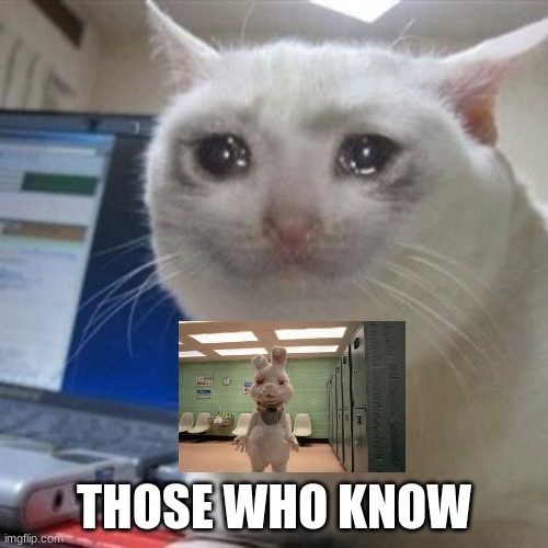 Crying cat | THOSE WHO KNOW | image tagged in crying cat | made w/ Imgflip meme maker