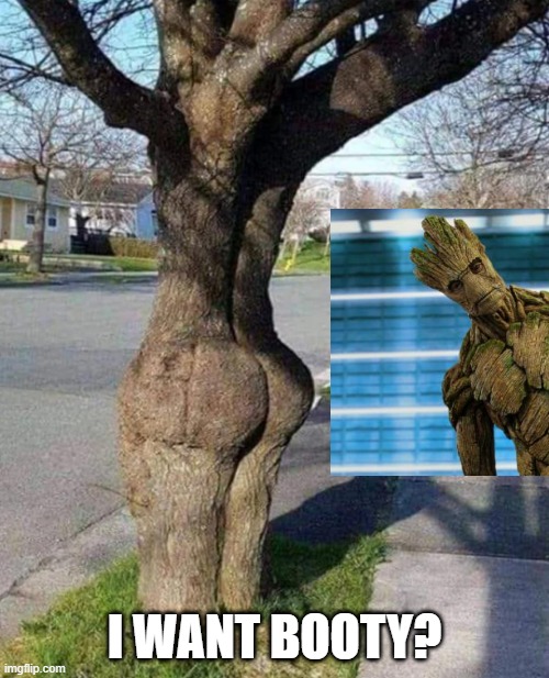 Groot's in Love | I WANT BOOTY? | image tagged in groot | made w/ Imgflip meme maker
