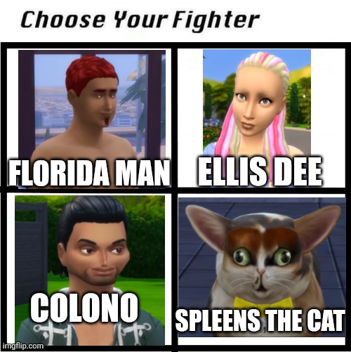Choose Your Fighter | ELLIS DEE; FLORIDA MAN; COLONO; SPLEENS THE CAT | image tagged in choose your fighter | made w/ Imgflip meme maker