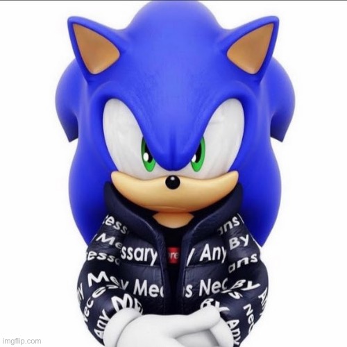 Drip Sonic | image tagged in drip sonic | made w/ Imgflip meme maker
