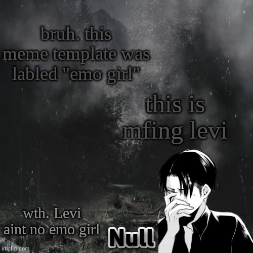 eMo gIrL | bruh. this meme template was labled "emo girl"; this is mfing levi; wth. Levi aint no emo girl | image tagged in emo girl | made w/ Imgflip meme maker