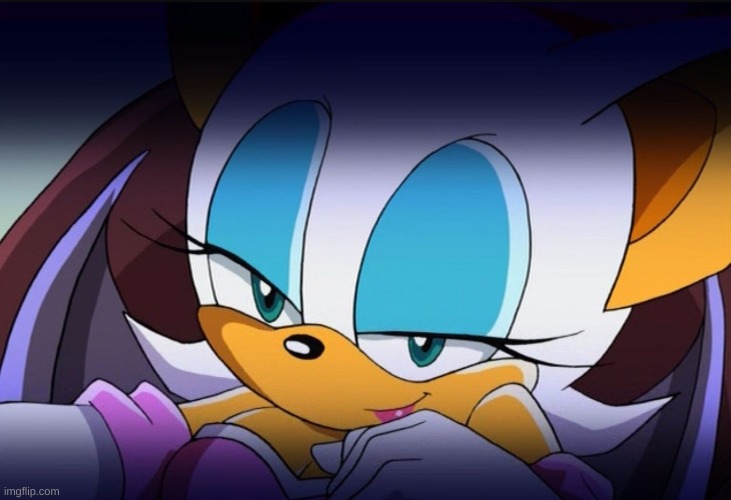 Rouge the Bat Sonic Meme | image tagged in rouge the bat sonic meme | made w/ Imgflip meme maker