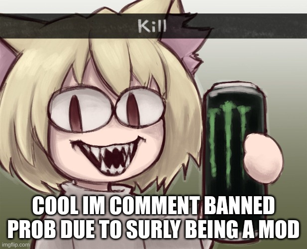 L | COOL IM COMMENT BANNED PROB DUE TO SURLY BEING A MOD | made w/ Imgflip meme maker