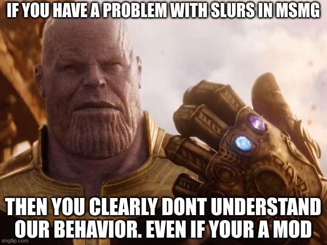 Thanos Smile | IF YOU HAVE A PROBLEM WITH SLURS IN MSMG; THEN YOU CLEARLY DONT UNDERSTAND OUR BEHAVIOR. EVEN IF YOUR A MOD | image tagged in thanos smile | made w/ Imgflip meme maker