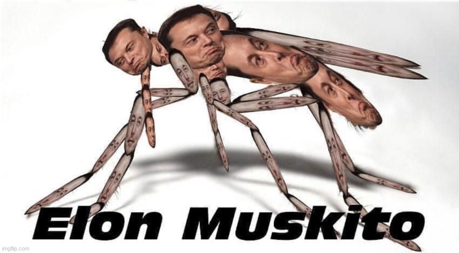 Elon Muskito | image tagged in elon muskito | made w/ Imgflip meme maker