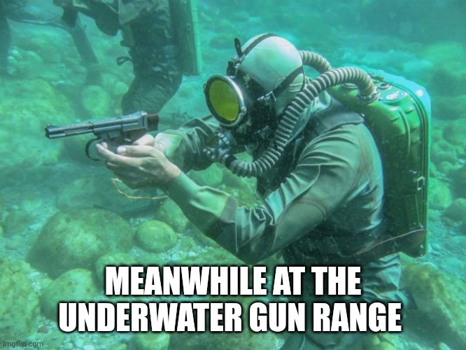 Guns | MEANWHILE AT THE UNDERWATER GUN RANGE | image tagged in funny memes | made w/ Imgflip meme maker