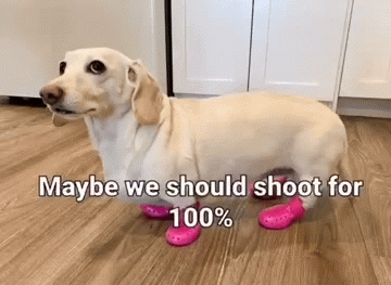 Homophobic dog Blank Meme Template